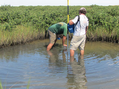 Photo showing short push core being inserted into sediment by USGS field personnel and the GPS rover positioned next to coring site in the Chandeleur Islands